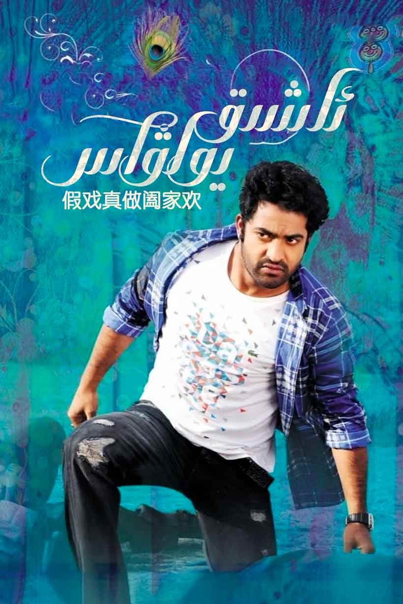 ئاشىق يولۋاس