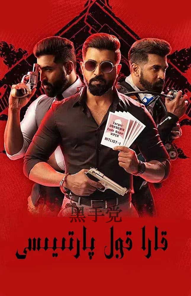 قارا قول پارتىيىسى