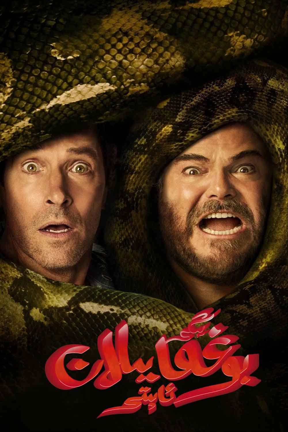 بوغما يىلان ئاپىتى